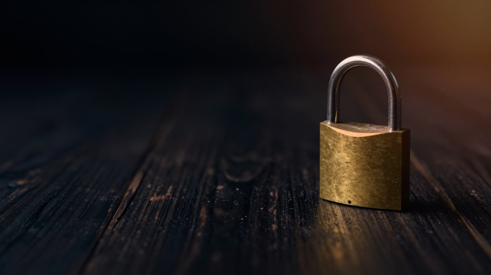 Snimak Google OAuth permission ekrana sa istaknutim dijelovima.