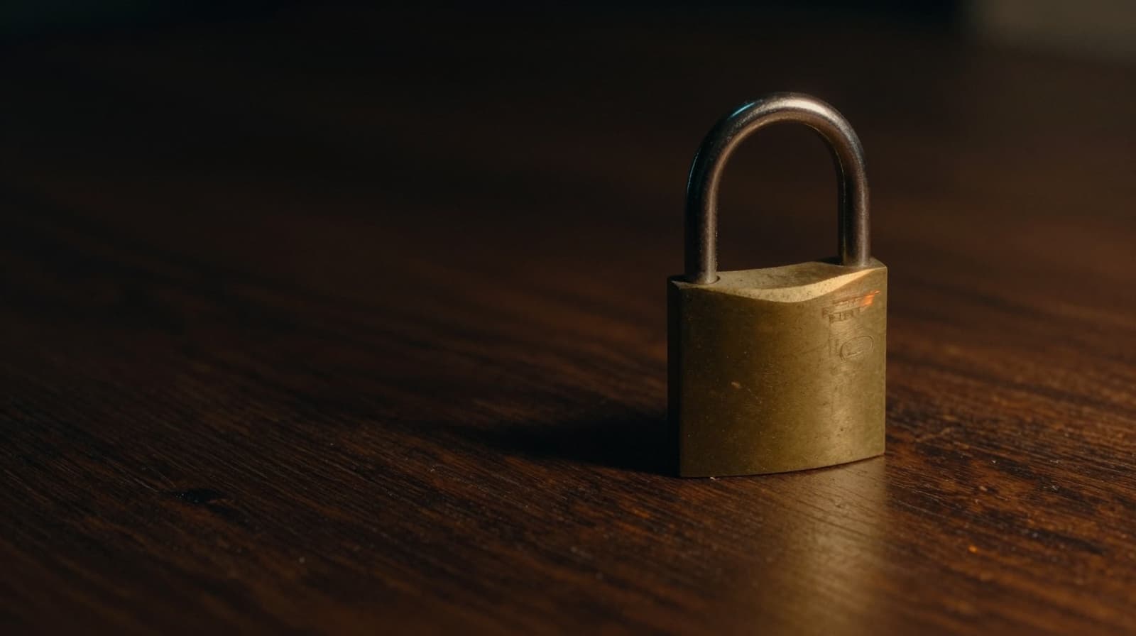 Posnetek Google OAuth permission zaslona z izpostavljenimi deli.