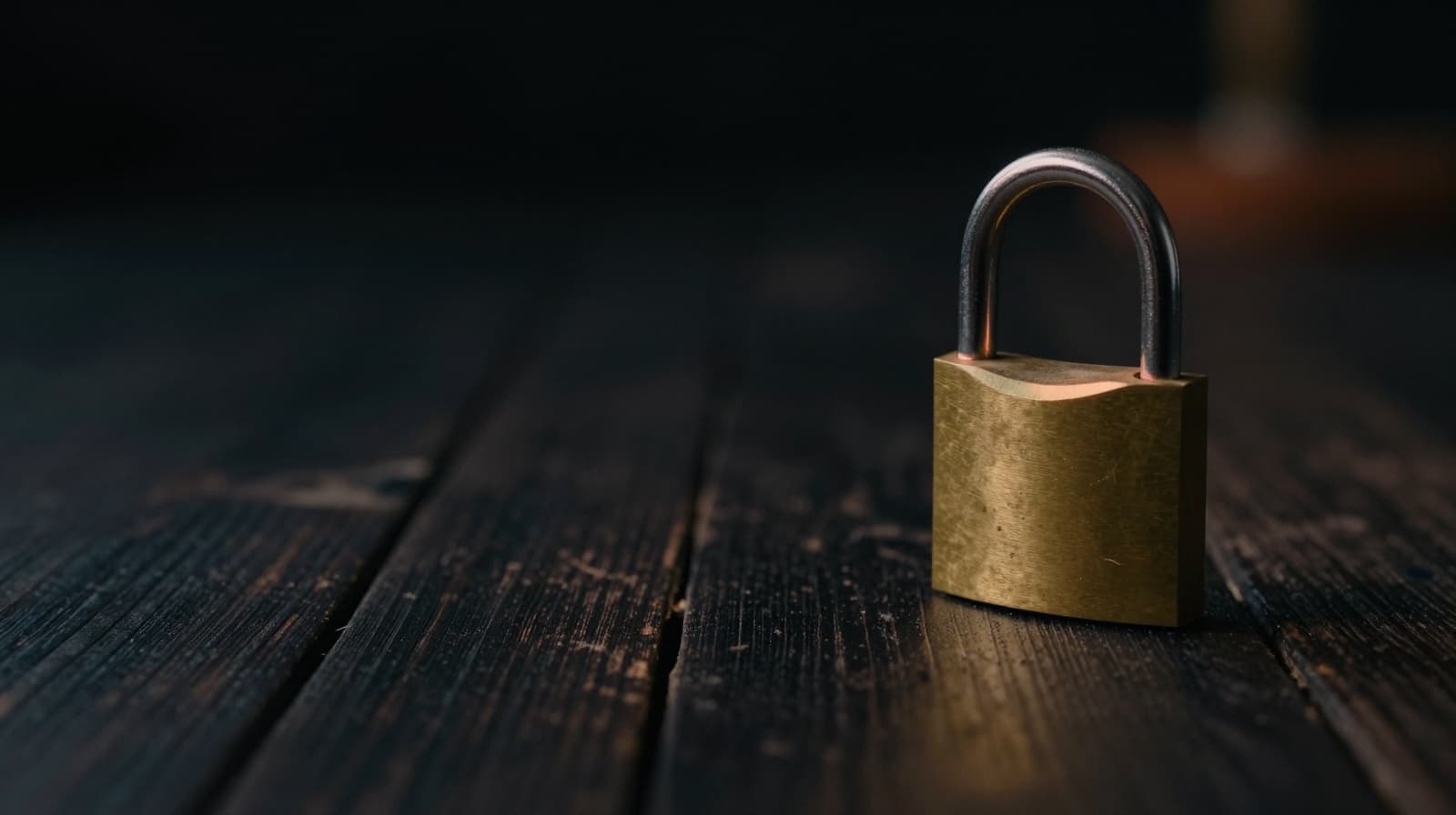 Snimak Google OAuth permission ekrana sa istaknutim delovima.